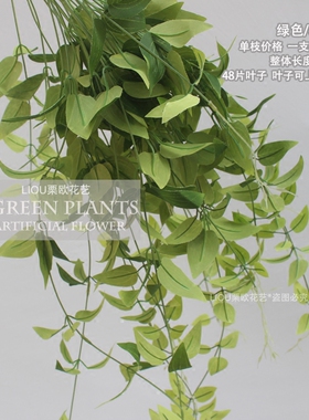 手感金银花柳条绿色植物树枝叶子