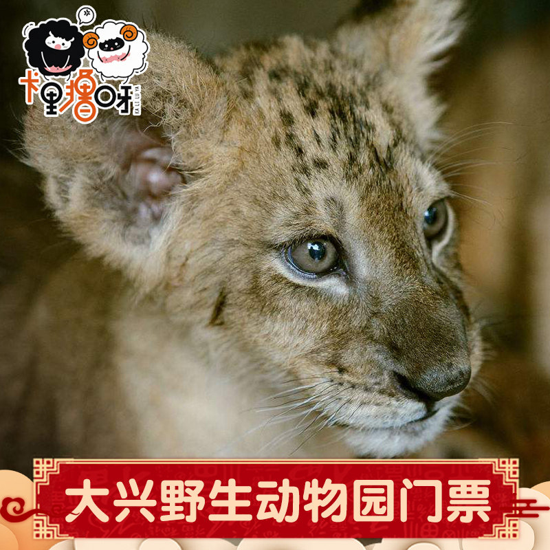[Beijing Safari Big Ticket]Daxing Safari admission ticket adult Student ticketsin the Attraction tickets/Live performance/Theme Parks , Domestic Ticketing category - from Buy2taobao.com to provide professional Taobao agent buy service