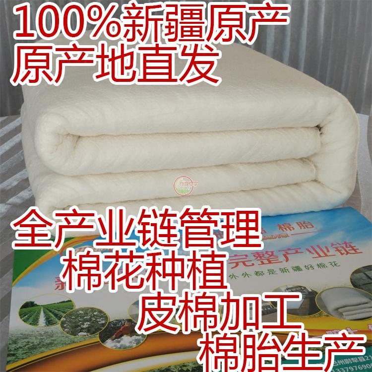 尉犁众望新疆棉被全棉被芯纯棉有网学生单双人被子棉花垫被