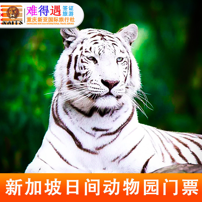 [新加坡动物园-大门票]新加坡动物园门票日间含小火车
