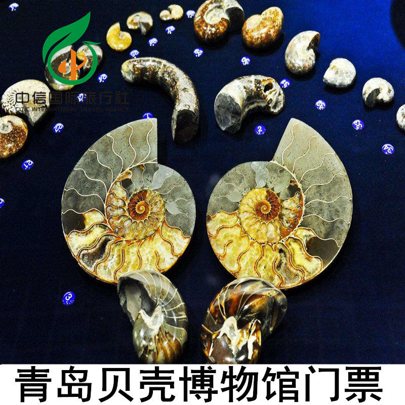 [青岛贝壳博物馆-大门票]青岛贝壳博物馆门票 成人/亲子票