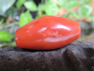 精品藏传保山南红勒子手工磨制桶珠仿老锁骨链手持配饰