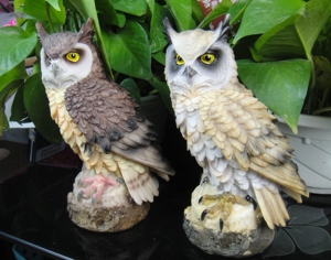 仿真猫头鹰树脂摆件 守护多肉植物防鸟神器 家居饰品园艺盆栽造景