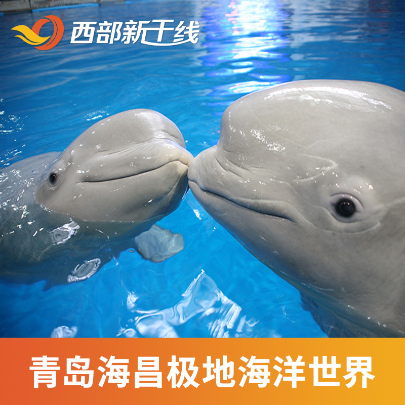 [青岛海昌极地海洋公园-极地馆 深海奇幻]极地馆 深海奇幻 双馆门票