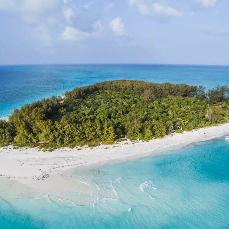 坦桑尼亚 桑给巴尔岛mnemba island环礁之旅绝美珊瑚礁/胜地