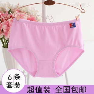 胖mm中高腰200斤棉質抗菌媽媽中老年全棉三角褲 純棉內褲 女大碼