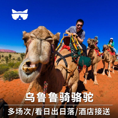 懒猫旅行 澳大利亚旅游 北领地乌鲁鲁艾尔斯岩骑骆驼看日出日落