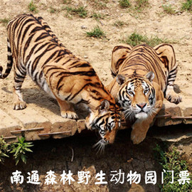 [南通森林野生動物園-大門票]江蘇南通森林野生動物世界門票圖片