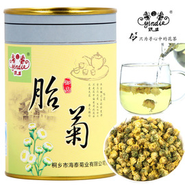 银蝶花草茶菊花茶桐乡胎菊杭白菊花罐装50g胎菊产地源头工厂