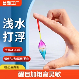 打浮专用漂浅水小短漂冰钓水皮漂醒目灵敏加粗尾鱼漂钓鱼小浮漂