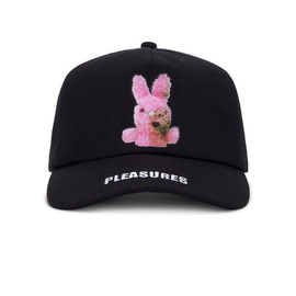 pleasuresxsonicsnapback青少年兔子帽子男