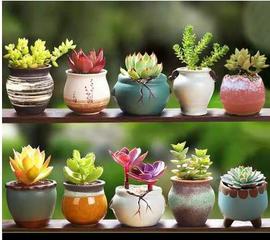 多肉花盆地面粗陶绿植物陶瓷简约个性创意桌面小盆栽花卉素烧盆器