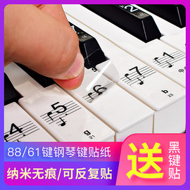 纳米钢琴键盘贴纸88键61键54键儿童成人电子琴五线谱简谱按键贴