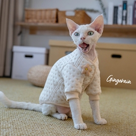 GINGERAIN 婴儿夹棉无毛猫衣服系扣纯棉加厚防过敏保暖卫衣小外套