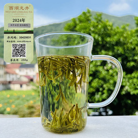 2024新茶叶 明前茶西湖龙井绿茶春茶250g杭州茶农自产自销