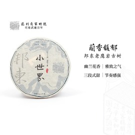 宋聘号小世界邦东老鹰岩古树普洱茶生茶兰香悠悠云南临沧小茶饼