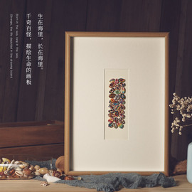 天然贝壳海螺立体中空标本相框，装饰品画框创意，手工diy框摆台展示