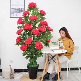 假花仿真花盆栽植物室内装饰，仿生绿植客厅，落地塑料牡丹花摆件假树