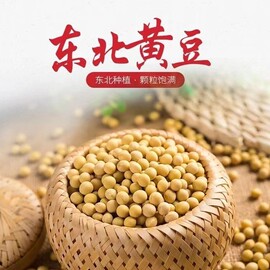 42高蛋白源头黑龙江黄豆高蛋白，大豆腐豆花，豆腐脑笨黄豆芽东北大豆