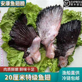 鱼翅鱼鳍特级安康鱼翅，翅中翅膀大补安康鱼翅膀鱼鳍鱼尾