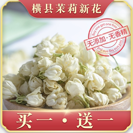 茉莉花茶2022新茶非特级浓香型飘雪奶茶店专用广西横县散装茉莉花