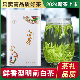 白茶安吉特级2024年新茶礼盒装，珍稀口粮绿茶，250g雨前散装正宗茶叶