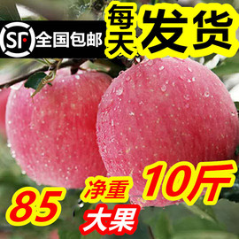 新鲜烟台栖霞红富士苹果水果条纹，脆甜10斤85当季山东萍果吃的