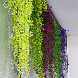 仿真金钟柳壁挂花藤塑料，绿植物墙吊兰假花盆栽，餐客厅幼儿园装饰花