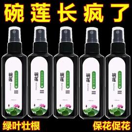 碗莲专用营养液睡莲肥料通用水溶肥水培种子发芽生根促开花防黄叶