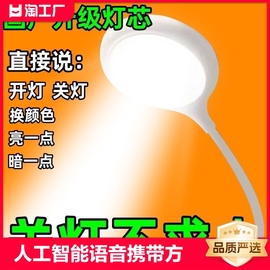 人工智能语音台灯控制灯usb声控灯感应灯，led插口小夜灯一体床头灯，插电既可声控唤醒学习帮手携带方便懒人专用