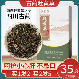 四川古蔺赶黄草，中药材护保茶益肝茶包非野生特级转氨酶