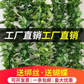 仿真葡萄叶绿萝叶假花藤条藤蔓绿植物吊顶管道装饰塑料假花缠绕