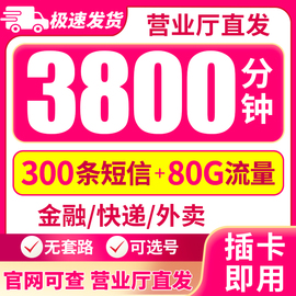 手机电话卡超长通话卡骑士卡语音卡2000分钟外卖快递名单可选号卡