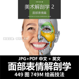 人体面部表情艺用解剖各种面部骨骼肌肉动漫手绘美术参考素材图片