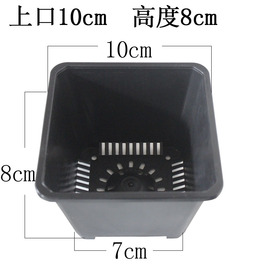 控根大黑方盆多肉景天科植物老桩盆栽种植塑料花盆多规格可选