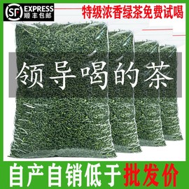 2024绿茶一斤500g正宗明前高山云雾绿茶叶新茶春茶毛尖茶送礼