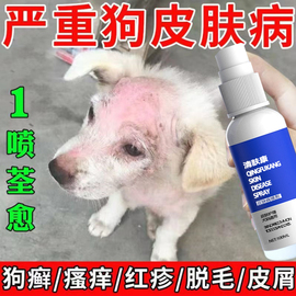 狗狗猫咪皮肤外用喷剂狗癣真菌感染螨虫宠物身上掉毛结痂专用喷剂