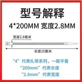 自锁式尼龙扎带塑料54*200固定扎线带电线捆扎线束带扎条黑白色