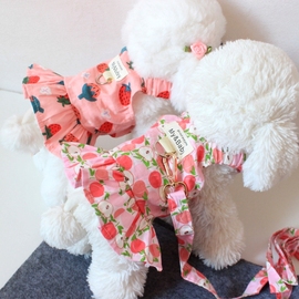 公主宠物狗狗衣服带牵引绳小型犬比熊泰迪水果裙子春夏季薄款棉裙