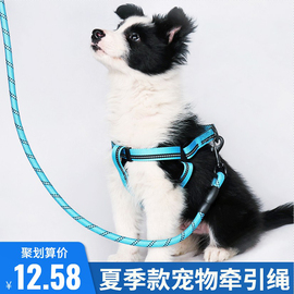 反光狗狗牵引绳小型犬泰迪比熊狗，链子中型犬边牧遛狗绳项圈胸背带