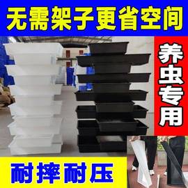 蛋白虫黄粉虫专用养殖盒大麦，虫面包虫养殖工具塑料饲养盒