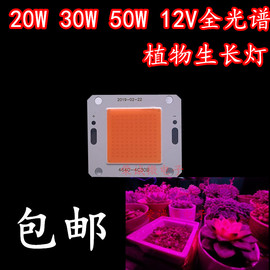 全光谱粉植物生长灯多肉，补光室内led防徒20w30w50w大功率12v灯珠