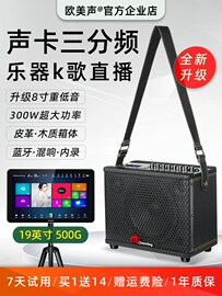 欧美声606/608萨克斯电吹管二胡乐器k歌专用伴奏音响户外专业音箱