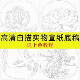 工笔画底稿白描画稿加厚初学者临摹入门描红套装国画专用宣纸练习卡纸毛笔作品纸书画装裱熟宣画卷空白画轴