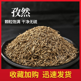 纯孜然新疆吐鲁番大颗粒，批量发烧烤烤肉，调料撒料可打粉50克