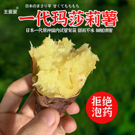 烤更好~日本玛莎莉红薯黄金榴莲蜜薯沙地新鲜地瓜专用烤红薯