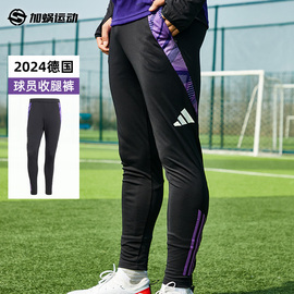 SFS阿迪达斯Adidas 2024欧洲杯德国队足球训练收腿长裤 IP8240