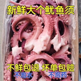 超大脆口章鱼须新鲜鱿鱼，须海鲜八爪鱼冷冻章鱼，足烧烤火锅商用