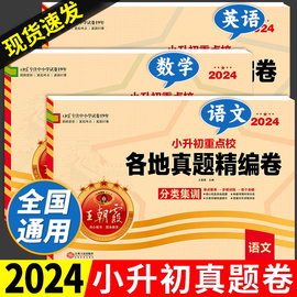 2024新小升初真题卷王朝霞(王朝霞)试卷全套名校期末真题，精编卷必刷题人教版六年级下册语文，数学英语专项训练分类卷总复习大集结复习资料