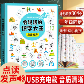 会说话的识字大王 手指点读发声书早教有声书识字书幼儿认字儿童认字书有声早教机幼儿园学前常用字300象形字幼小衔接识字大王2000